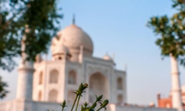 Pink hibiscus flower in foreground with the Taj Mahal in Agra, India, softly blurred in the background under a clear blue sky.