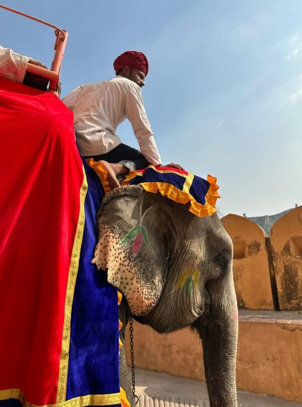 Elephant ride in Jaipur on a Golden Triangle Tour 4 Days