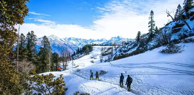 Manali – Adventure Capital of Himachal. Group of people walking along a snow‑covered trail surrounded by tall pine trees, with rugged snow‑capped mountains in the background under a partly cloudy blue sky.