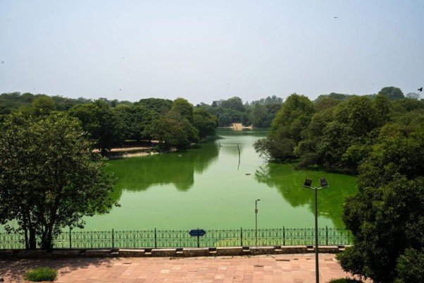 15 Best Parks in Delhi for Nature, Morning Walks and Sightseeing 4 Parks in Delhi featuring the green lake and tree-lined landscape of Deer Park, Hauz Khas
