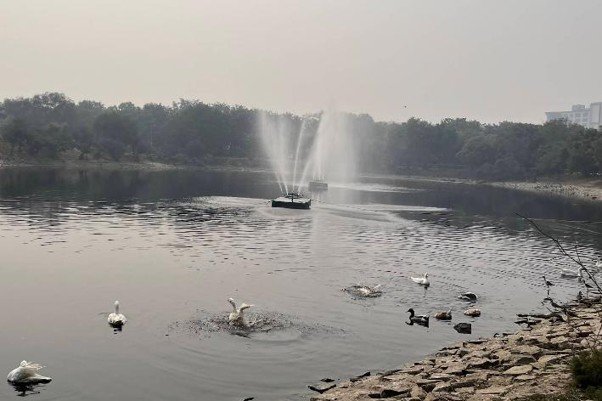 15 Best Parks in Delhi for Nature, Morning Walks and Sightseeing 12 Parks in Delhi featuring a lake, fountain and waterbirds at Japanese Park, Rohini