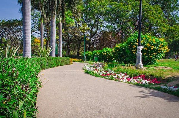 15 Best Parks in Delhi for Nature, Morning Walks and Sightseeing 5 Parks in Delhi featuring the green walking paths, colourful flower beds and tall palm trees at Nehru Park, Chanakyapuri
