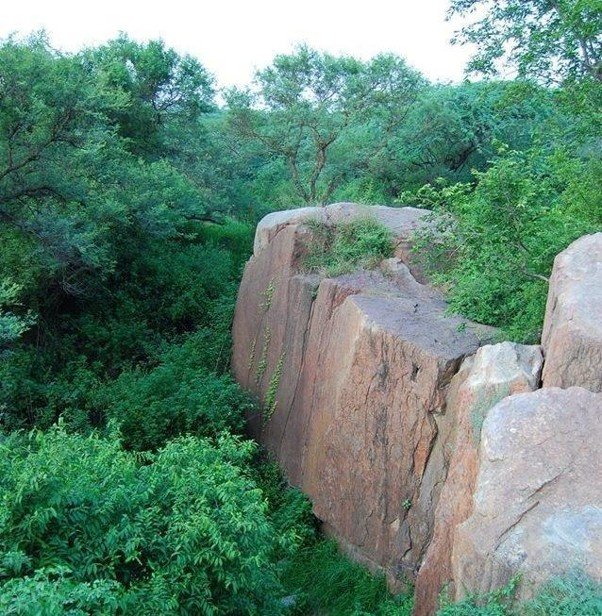 15 Best Parks in Delhi for Nature, Morning Walks and Sightseeing 6 Parks in Delhi featuring the rocky terrain and dense green woodland of Sanjay Van