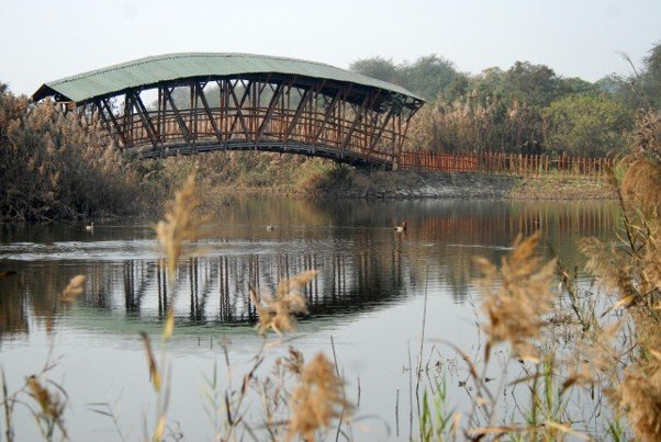 15 Best Parks in Delhi for Nature, Morning Walks and Sightseeing 11 Parks in Delhi featuring a wooden bridge over a waterbody at Yamuna Biodiversity Park